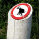Vlak reflecterend bord Ø100mm hier honden laten poepen verboden
