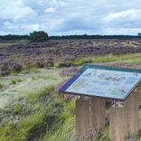 Montageframe lessenaar ST04 - vier metalen staanders - Ø48mm