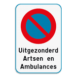 Parkeerverbod E1 + eigen tekst