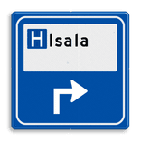 Verkeersbord - Parkeerplaatsverwijzing Ziekenhuis