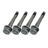 Bevestigingset type 2 - M16x120mm t.b.v. vloermontage (set 4 stuks)