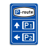 Parkeerroutebord 2 richtingen met pijlen