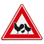 Verkeersbord - waarschuwing overstekende kippen