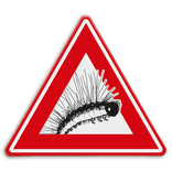 Verkeersbord - waarschuwing Eikenprocessierups