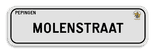Straatnaambord gepersonaliseerd met eigen opdruk 700x200mm