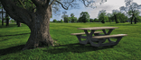 Picknicktafel - type Cross - Bicolor