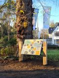 Montageframe houten staanders - lessenaar natuurgebied - 140x140x1500mm