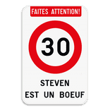 Panneau de Signalisation Personnalisé – Anniversaire