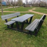 Picknicktafel - type Lyon met rugleuning - Bicolor