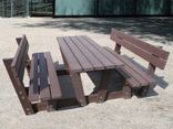 Picknicktafel - type Lyon met rugleuning - Bicolor