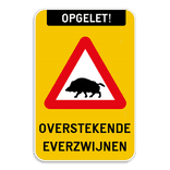 Verkeersbord - Opgelet - Overstekende Everzwijnen