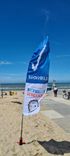 Beach flag 800x2200mm - Logo/design personnalisé