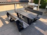 Picknicktafel - type Lyon met rugleuning - Bicolor