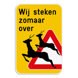 Informatiebord 2:3 reflecterend met je eigen opdruk
