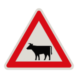 Gefahrzeichen 101-12 - Viehtrieb, Tiere, Aufstellung rechts