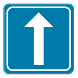 Verkeersbord SB250 F19 - Eenrichtingsverkeer