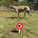 Steekbord met pictogram - GEEN hondenpoep - PVC
