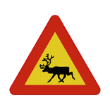 Zweeds verkeersbord Waarschuwing Overstekende rendier / reindeer