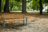 Banc public avec dossier en acier et bois FSC - type Bach 1800 mm