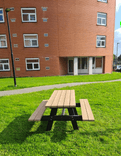 Picknicktafel - Type Oslo - Classic - Bicolor