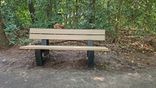 Banc public avec dossier - Modèle Bonn - Sand Beige / noir
