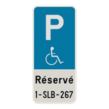 Panneau E9 Handicapé – Avec Numéro de Plaque Personnalisé