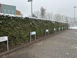 Parkeerplaats bord uitsluitend elektrische voertuigen + bedrijfsnaam - reflecterend