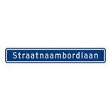 Straatnaambord 18 karakters 1000x150 mm NEN 1772