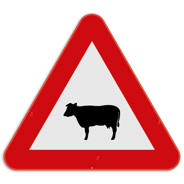 Verkeersbord SB250 A29 - Overstekend vee