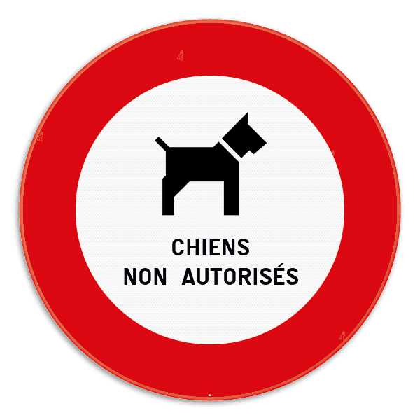 Panneau “Chiens non autorisés” – signalisation interdiction claire