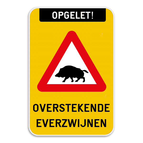 Verkeersbord - Opgelet - Overstekende Everzwijnen