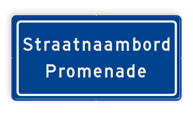 Straatnaambord 2 regelig 600x300