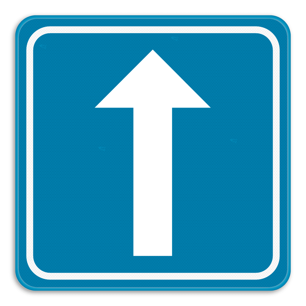 Verkeersbord SB250 F19 - Eenrichtingsverkeer