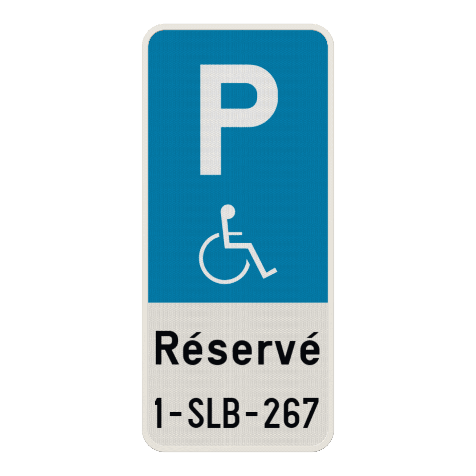 Panneau parking PMR avec plaque d’immatriculation personnalisée