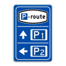 Parkeerroutebord 2 richtingen met pijlen