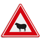 Verkeersbord - waarschuwing overstekende schapen - reflecterend