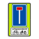 Verkeersbord RVV L08 - OB54 - Doodlopende weg met uitzondering