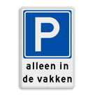 Parkeerbord RVV E04 + in de vakken