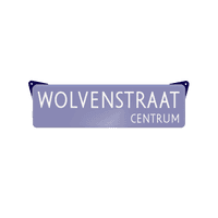 Inclusief 2 stuks muuroren