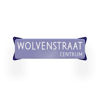 Inclusief 4 stuks muuroren