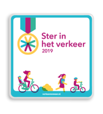 Informatiebord | Ster in het verkeer 250x250mm