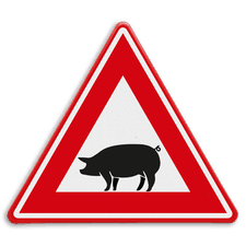 Verkeersbord - waarschuwing overstekende varkens - reflecterend