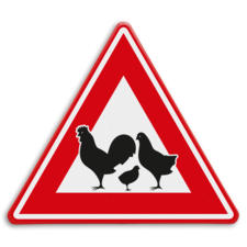 Verkeersbord - waarschuwing overstekende kippen