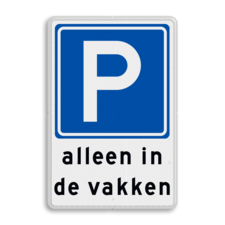 Parkeerbord RVV E04 + in de vakken