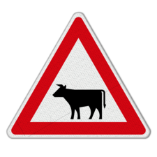 Gefahrzeichen 101-12 - Viehtrieb, Tiere, Aufstellung rechts