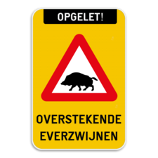 Verkeersbord - Opgelet - Overstekende Everzwijnen