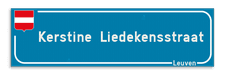 SignEditor product - eigen ontwerp