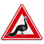 Verkeersbord - waarschuwing overstekende pauw