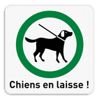 Panneau d'information 1:1 - Chiens en laisse