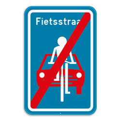 Verkeersbord F113